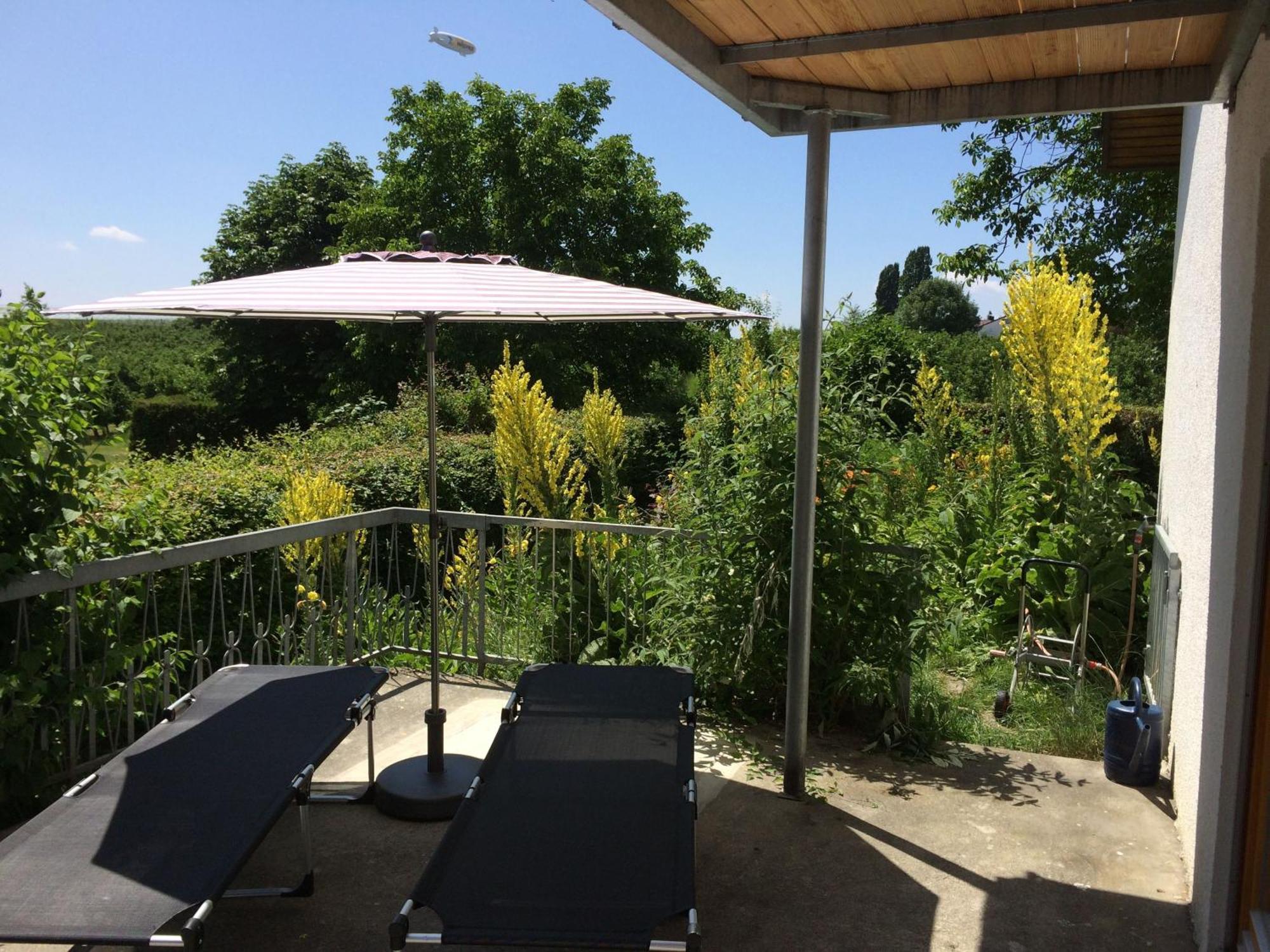 Ferienwohnung Bluetenweg Kluftern ฟรีดริชส์ฮาเฟน ภายนอก รูปภาพ